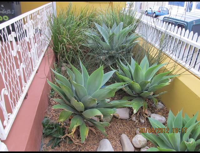 2 bed property to rent in OBSERVATORY